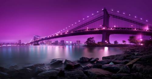11658x6112_bridging-purple-united-states-new-york-city