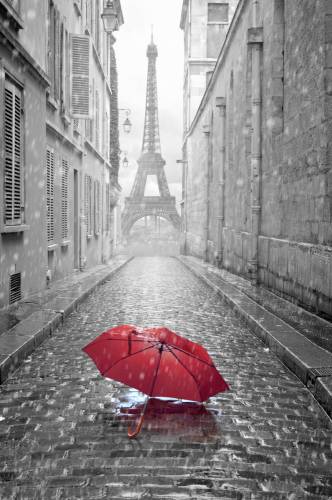 Эйфелева башня, зонтик, Париж, Франция #192952718