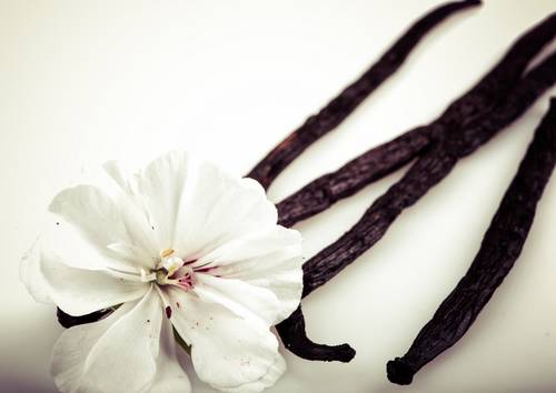 Ваниль и белый цветок #157985570
