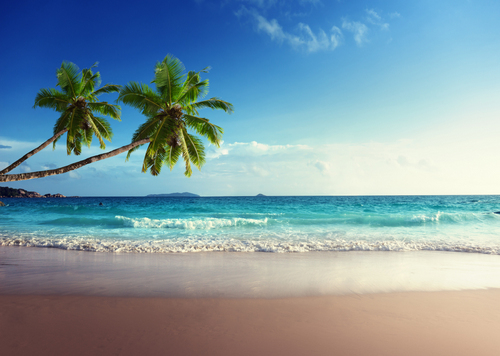 Пляж, пальмы