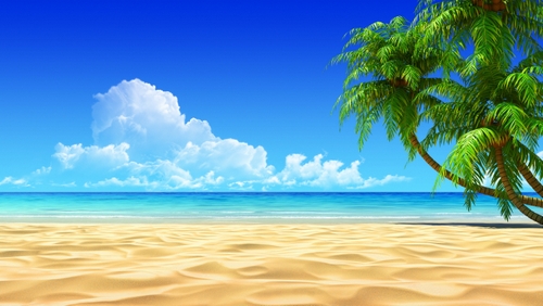 Пальма, пляж