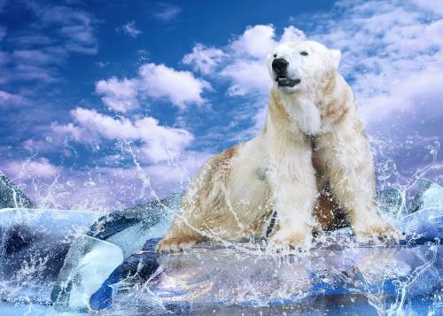 shutterstock_65132383