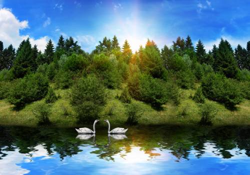 shutterstock_58605769