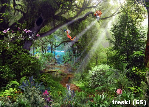 freski (65)