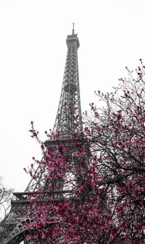 Эйфелева башня, Париж, Франция #185900849
