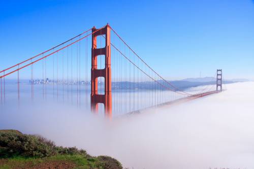 Густой туман, Мост Золотые Ворота #90599395