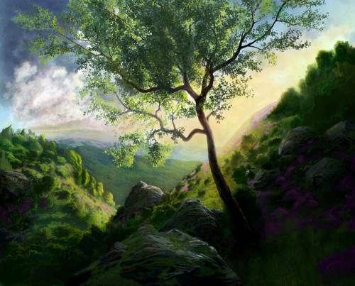 art-nature-valley-wood-grass-stones-rocks-hills-flowers (1)