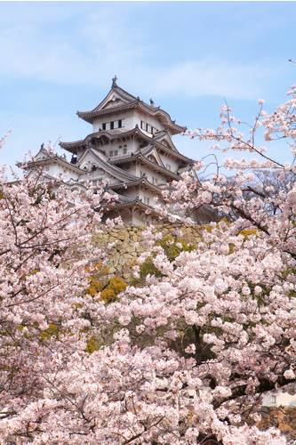 Сакура, замок в Японии #96239945