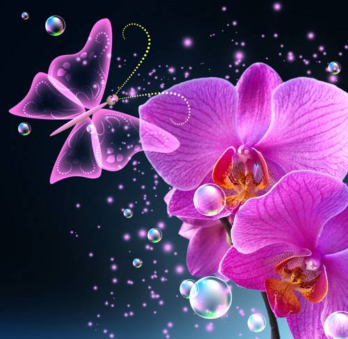 Орхидеи, бабочки, пузыри и звезды #86954074