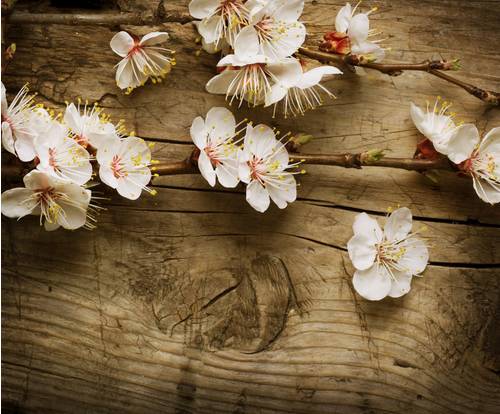 fotolia_31669600