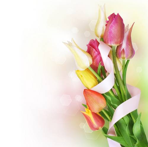 fotolia_31957349