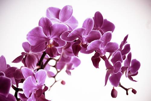 shutterstock_177600344