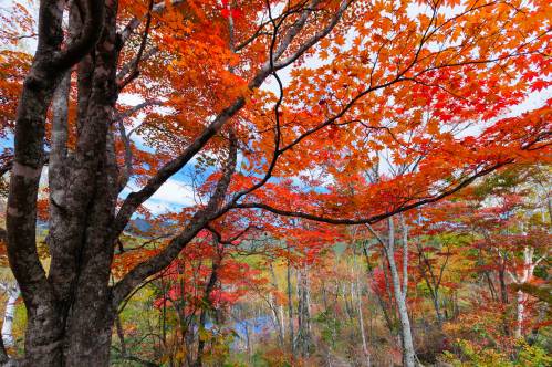 shutterstock_112277879